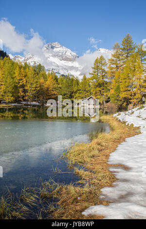 Cabina in legno e alberi colorati riflessa in Lai da Palpuogna Albula Pass Bergün Cantone dei Grigioni Engadina Svizzera Europa Foto Stock