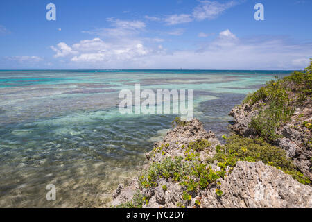 La tonalità turchese del Mare dei Caraibi si vede dalle falesie di verde isola di Antigua e Barbuda Isola sottovento West Indies Foto Stock
