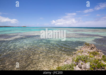 La tonalità turchese del Mare dei Caraibi si vede dalle falesie di verde isola di Antigua e Barbuda Isola sottovento West Indies Foto Stock