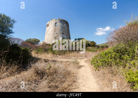 La vegetazione della navigazione circonda la Torre di Cala Pira Castiadas Cagliari Sardegna Italia Europa Foto Stock