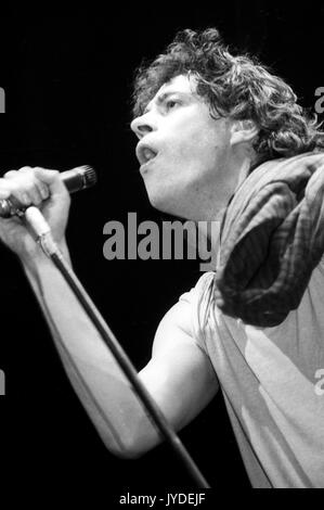 Bob Geldof del boomtown ratti si esibisce dal vivo sul palco di dominio su Febbraio 25, 1984 a Londra, Inghilterra. Foto Stock