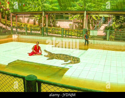 Koh Samui, Thailandia - Giugno 28, 2008: Crocodile lottatore effettuando in corrispondenza di mostra Foto Stock