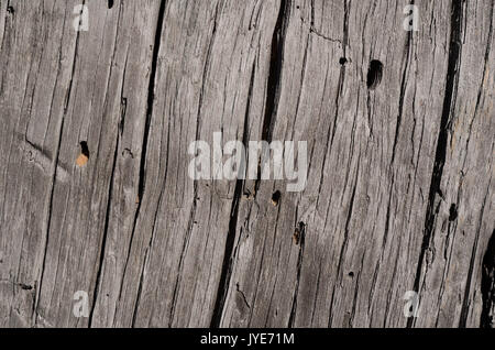 La texture è un vecchio grigio scheda di legno con piccole crepe e piccoli fori. La foto in orizzontale, sfondo Foto Stock