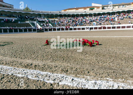 Offerta nell'arena di Linares durante l anniversario della morte del mitico Torero Manolete, Linares in Andalusia Foto Stock