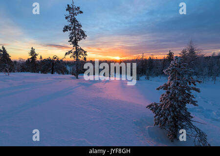 Le ultime luci del tramonto artico sui boschi innevati Vennivaara Rovaniemi Lapponia Regione Finlandia Europa Foto Stock