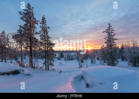 Le ultime luci del tramonto artico sui boschi innevati Vennivaara Rovaniemi Lapponia Regione Finlandia Europa Foto Stock