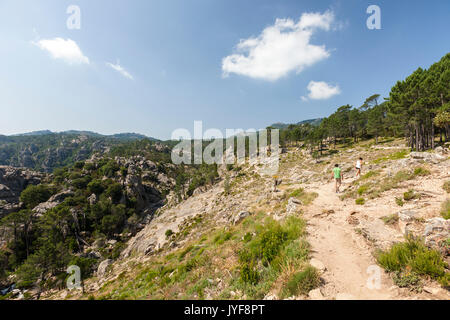 Gli escursionisti circondati da boschi nel Parco Naturale del l'Ospedale di montagna Piscia di Gallo Zonza Corsica del Sud Francia Europa Foto Stock