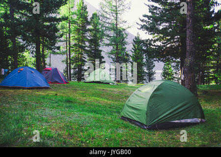 Varie tende turistico collocato all'esterno nei boschi. Camping i turisti sullo sfondo di alberi di pino nella foresta. Tourist romance. Montagne di Altai R Foto Stock