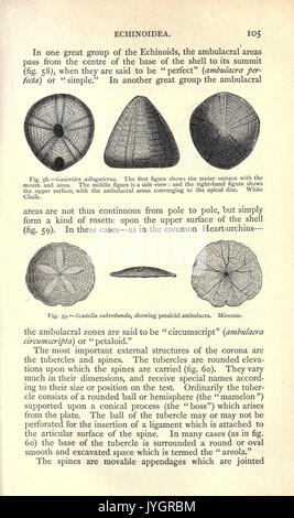 Un manuale di paleontologia per l'uso degli studenti con una introduzione generale sui principi di paleontologia (pagina 105) BHL22354681 Foto Stock