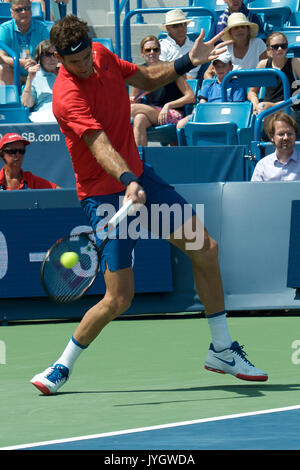 Cincinnati, Stati Uniti d'America. 17 Agosto, 2017. Juan Martin Del Potro ARG ha perso in 3 round del Western & Southern Open a Cincinnati per Grigor Dimitrov BUL 36, 57 Credito: Andrzej Kentla/Alamy Live News Foto Stock