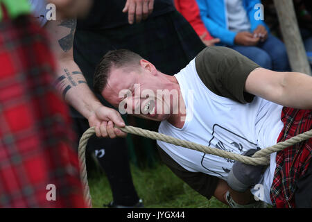Horgenzell, Germania. 19 Ago, 2017. Un partecipante della tomaia Highlandgames sveva tira un trattore con una corda attraverso un prato nella disciplina "Bulldog-Schleppa' in Horgenzell, Germania, 19 agosto 2017. 15 clan competere gli uni contro gli altri in varie discipline al Highlandgames. Foto: Karl-Josef Hildenbrand/dpa/Alamy Live News Foto Stock