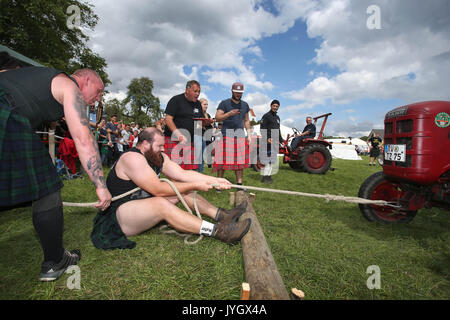 Horgenzell, Germania. 19 Ago, 2017. Un partecipante della tomaia Highlandgames sveva tira un trattore con una corda attraverso un prato nella disciplina "Bulldog-Schleppa' in Horgenzell, Germania, 19 agosto 2017. 15 clan competere gli uni contro gli altri in varie discipline al Highlandgames. Foto: Karl-Josef Hildenbrand/dpa/Alamy Live News Foto Stock