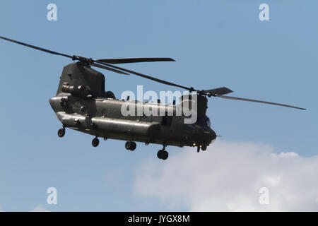 Biggin Hill, Regno Unito. 19 Ago, 2017. Elicottero Chinook visualizza a Londra Biggin Hill Festival Aeroporto di volo. L'Airshow di questo anno è ripartito su due giorni con un enorme folla attese sia giorni.Il momento clou della giornata è stato il display con la famosa in tutto il mondo le frecce rosse. Credito: Keith Larby/Alamy Live News Foto Stock