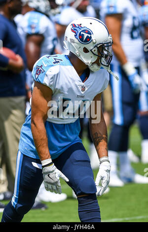 Agosto 19, 2017: Tennessee Titans wide receiver Eric Weems (14) durante un'NFL pre-stagione partita tra la Carolina Panthers e Tennessee Titans al Nissan Stadium di Nashville, TN. Thomas McEwen/CSM Foto Stock