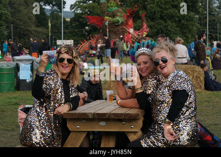 Brecon Beacons, UK. 19 Ago, 2017. I frequentatori del festival al 2017 Green Man festival in Glanusk Park, Brecon Beacons, Galles. Foto Data: Sabato 19 Agosto, 2017. Credito: Roger Garfield/Alamy Live News Foto Stock