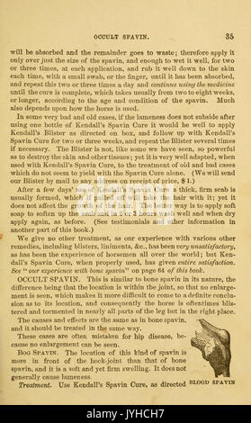 Un trattato sul cavallo e le sue malattie (pagina 35) BHL18633004 Foto Stock