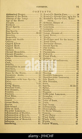 Un trattato sul cavallo e le sue malattie (pagina 91) BHL18633060 Foto Stock