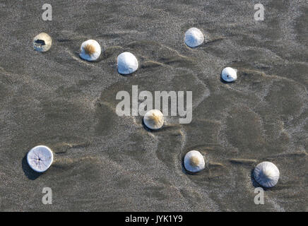 2b MORRO STRAND (7) (31453253764) Foto Stock