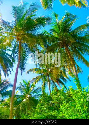 Villaggio Embudu Island, Maledives, Oceano Indiano Foto Stock