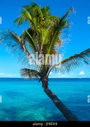 Villaggio Embudu Island, Maledives, Oceano Indiano Foto Stock