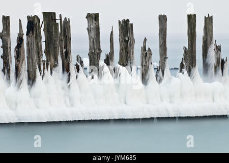 Tappi di ghiaccio su vecchi paletti di legno in linea e le rovine del palazzo a siluro Foto Stock