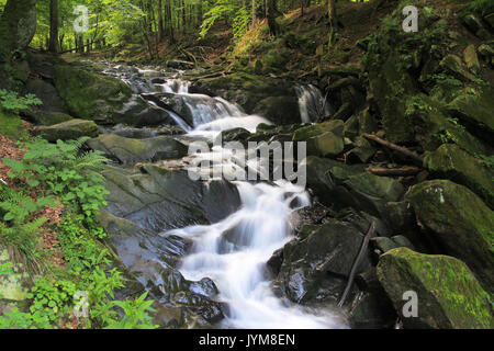 Creek a monti Bieszczady, Polonia Foto Stock