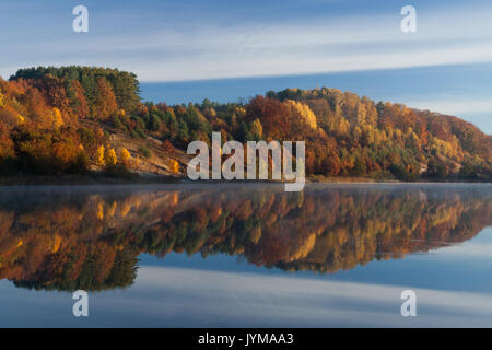 Bello e colorato autunno foresta con perfetta riflessione simmetrica Foto Stock