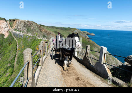 Un cavallo e carrozza con driver tornando a casa dopo una giornata che stava trasportando turisti in giro per l'isola, attraversando la Coupee, una stretta ghiaia causeway Foto Stock