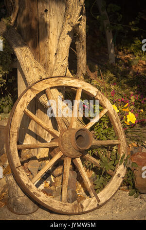 Vecchia ruota del carro, utilizzate per ornamento Foto Stock