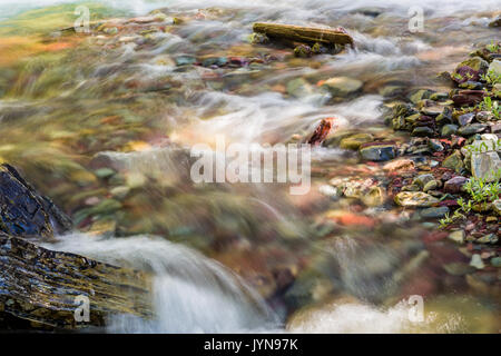 Le acque cristalline di Wilbur Creek giunchi oltre il fiume Colorful rocce nel Parco Nazionale di Glacier Foto Stock