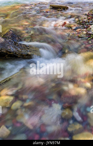 Le acque cristalline di Wilbur Creek giunchi oltre il fiume Colorful rocce nel Parco Nazionale di Glacier, Montana Foto Stock