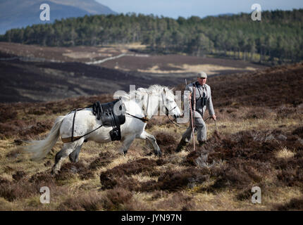 Cacciatore con un Rigby fucile Stalker Cervo Stalking su Blair Atholl estate in Scozia Foto Stock