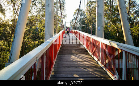 Kanes Bridge, un pedone single-span suspension bridge, oltre il Fiume Yarra con la famiglia che la attraversano, nella Yarra Bend Park, Melbourne, Victoria, Austr Foto Stock