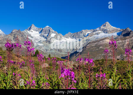 Area di Zermatt con il panorama delle Alpi svizzere Foto Stock