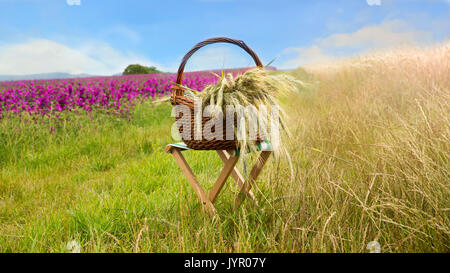 Cestello con grano su uno sgabello davanti a cornfield Foto Stock