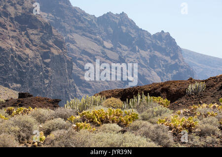 Punta de Teno, raggiungere il punto più a ovest a Tenerife nelle isole Canarie. Foto Stock