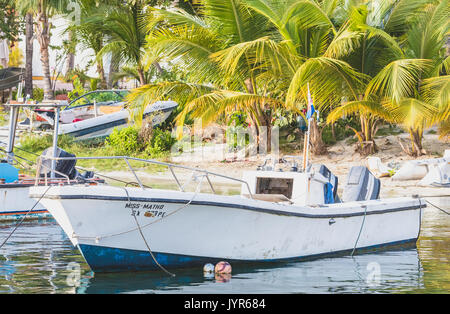 Saint Martin è parte delle Isole Sottovento nel Mar dei Caraibi. Esso comprende 2 paesi separati, diviso tra il suo francese e olandese i lati. Foto Stock