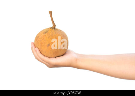 Santol frutta sul lato isolato su sfondo bianco. Foto Stock