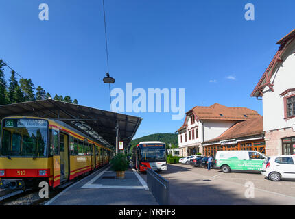 Tram tram di modello di Karlsruhe tram-treno in stazione Bad Herrenalb, Bad Herrenalb, Schwarzwald, Foresta Nera, Baden-Württemberg, Germania Foto Stock