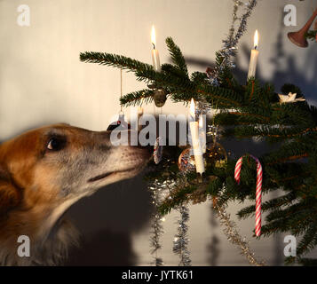 La parte di albero di Natale decorato, stile scandinavo. Foto Stock