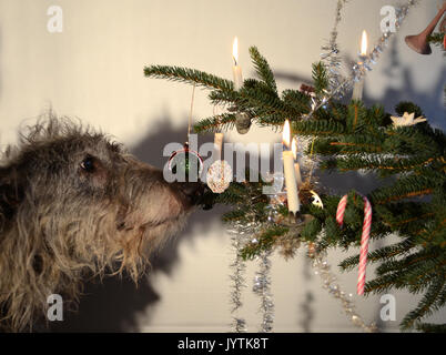 La parte di albero di Natale decorato, stile scandinavo. Foto Stock