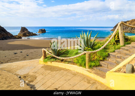 Vista della bellissima Prainha Beach con piante tropicali in primo piano nei pressi di città conico, l'isola di Madeira, Portogallo Foto Stock