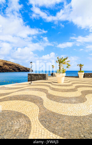 Le palme in vaso sulla passeggiata costiera lungo l'oceano vicino città conico, l'isola di Madeira, Portogallo Foto Stock