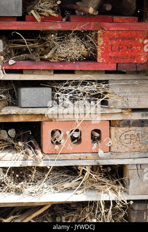 Casa di insetti realizzata utilizzando vecchi pallet in legno Foto Stock