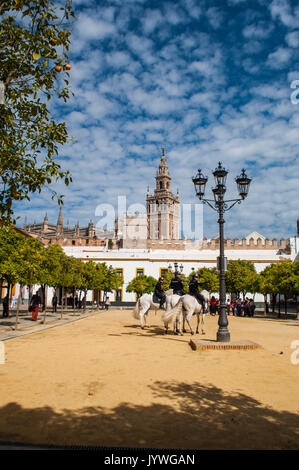 Spagna: gli ufficiali di polizia a cavallo sulla sabbia nel cortile delle bandiere, nel quartiere ebraico di Siviglia, con vista della Giralda torre campanaria Foto Stock