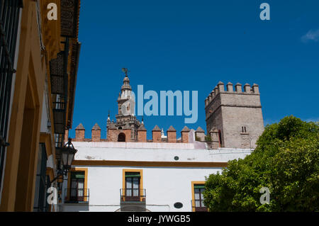 Spagna: monumenti e palazzi del Patio de Banderas (Cortile delle bandiere) nel quartiere ebraico di Siviglia con vista della Giralda torre campanaria Foto Stock