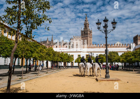 Spagna: gli ufficiali di polizia a cavallo sulla sabbia nel cortile delle bandiere, nel quartiere ebraico di Siviglia, con vista della Giralda torre campanaria Foto Stock