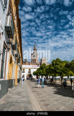 Spagna: monumenti e palazzi del Patio de Banderas (Cortile delle bandiere) nel quartiere ebraico di Siviglia con vista della Giralda torre campanaria Foto Stock