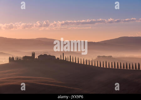 Paesaggio toscano con cipressi e cascina di sunrise, dawn, San Quirico d'Orcia, Val d'Orcia, Toscana, Italia Foto Stock