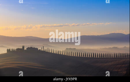 Paesaggio toscano con cipressi e cascina di sunrise, dawn, San Quirico d'Orcia, Val d'Orcia, Toscana, Italia Foto Stock